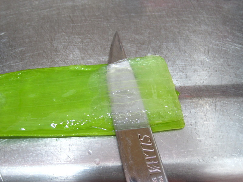 «��������������������