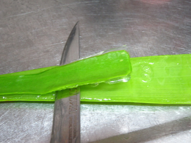 «��������������������