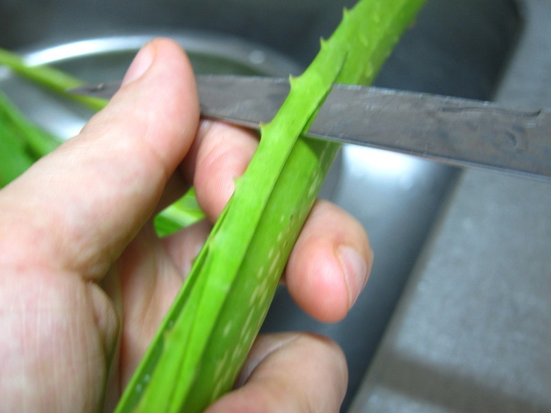 «��������������������