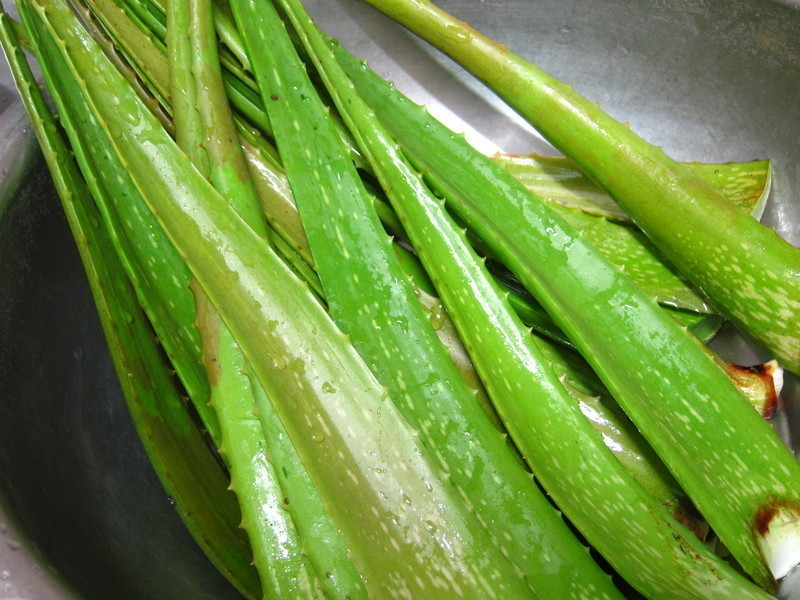 «��������������������