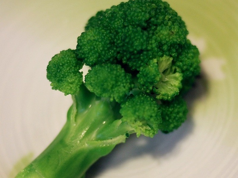 Kitty��-���౦����˾�͵�����