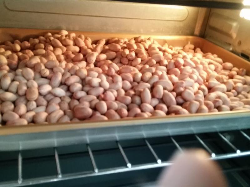 Y�ҵ�С����--ʮ�������ǵ�����