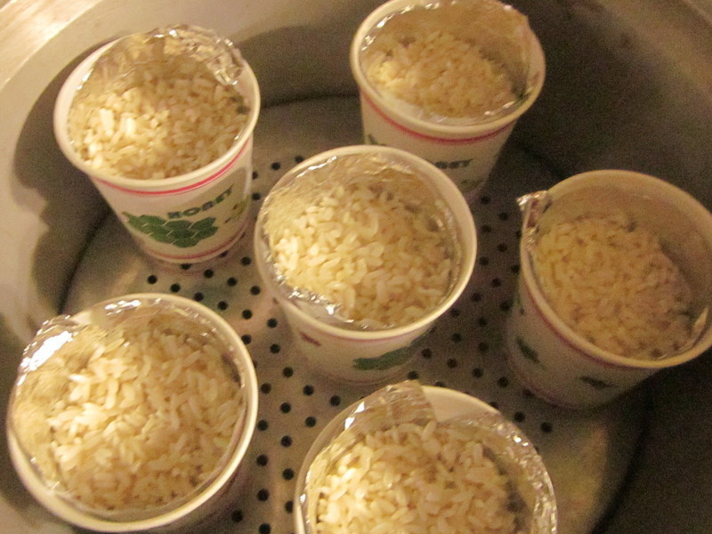 ����Ͳ���׸������