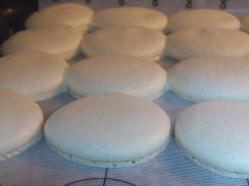 õ������������������