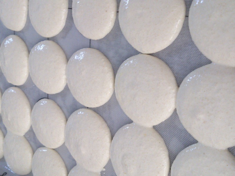 õ������������������