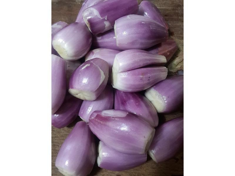 ���ƺ���͵�����