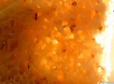 ��ĥ���׽��𻨰��Ǹ������