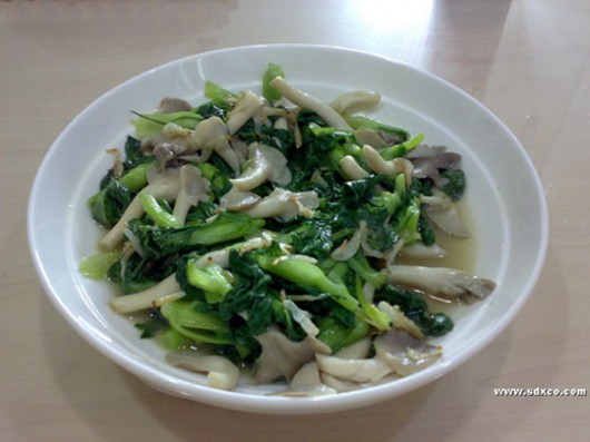 Ģ����˵�����