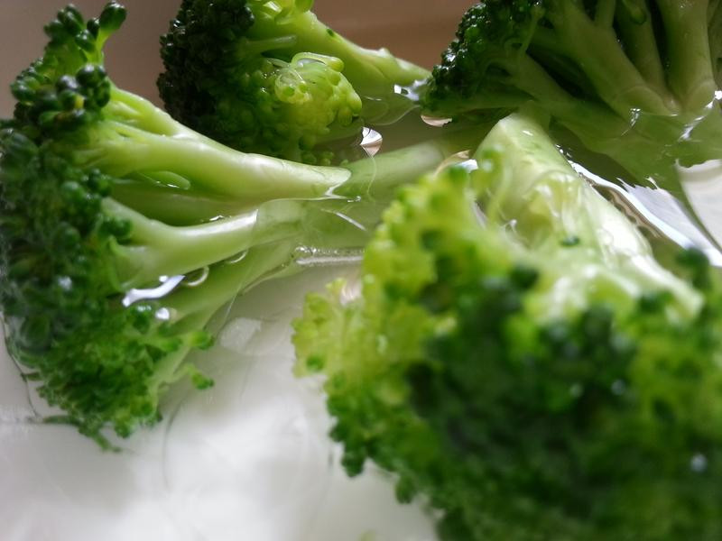 �ں���������̦����������