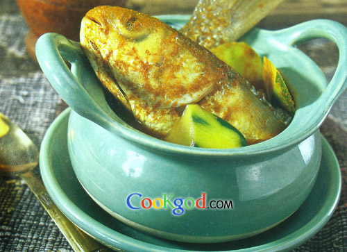 �ƿ�����������