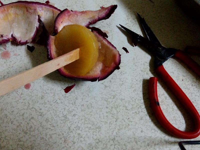 �㹽ͷ�������������