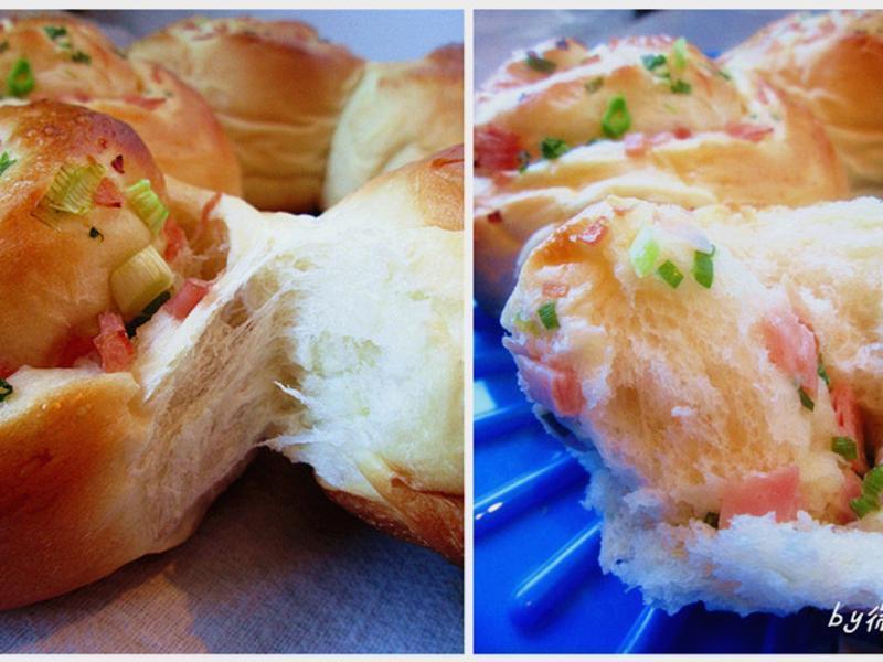 ������о�~ ������˿���������