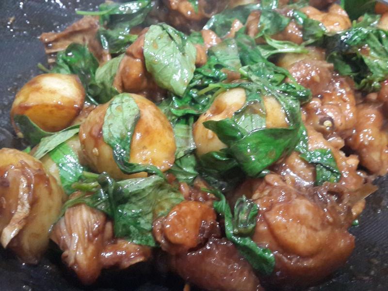 ������������������