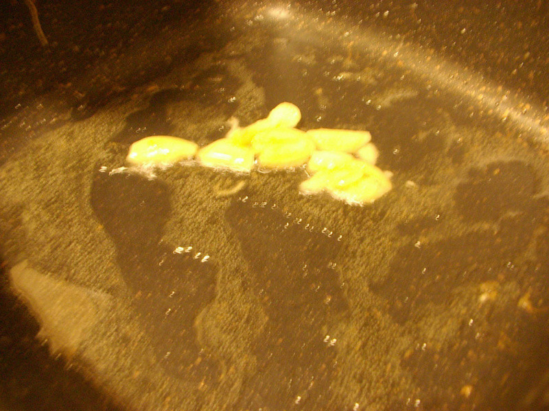 �峴ʱ��~«�����ɹ�������