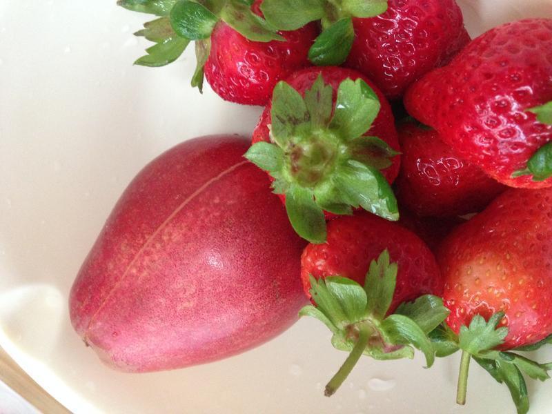 ����ݮ�������������ɡ�������ķ������