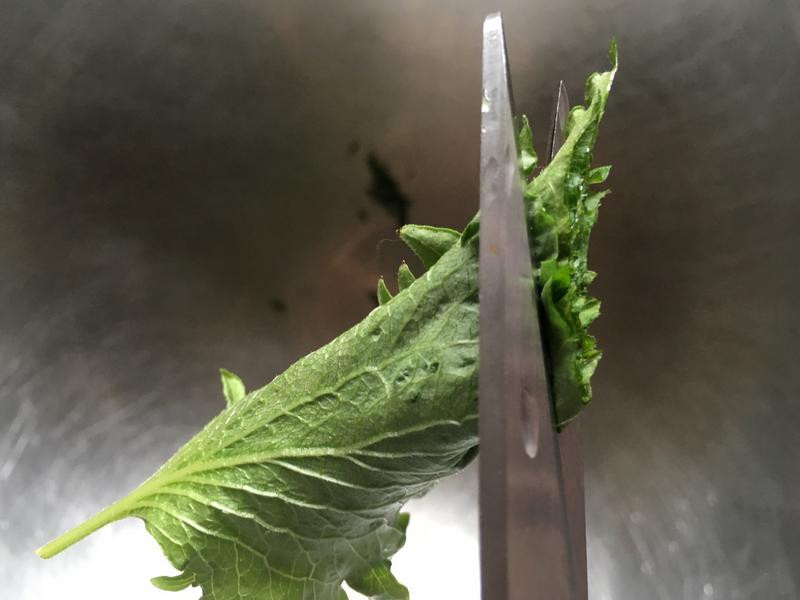 ���������з�������