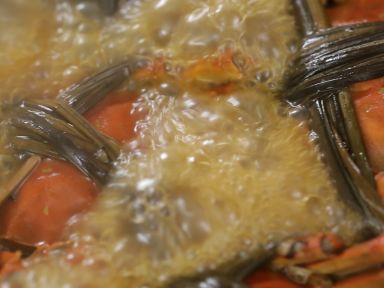 ơ����з������