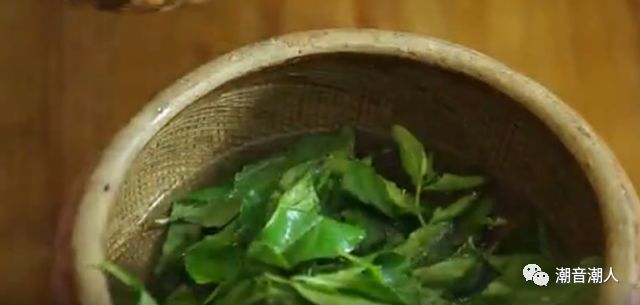 �������Ҷ��������