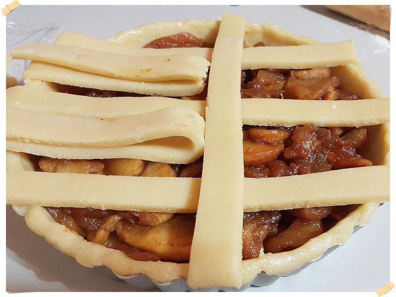 ��ʽ�������ƻ����(������Ƥ)������