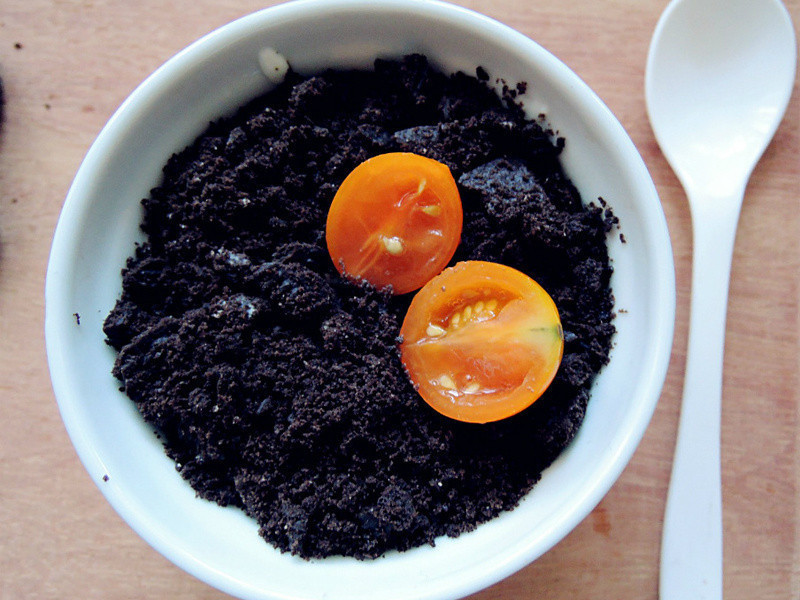 �ɿ����������̵�����