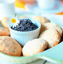 ޹�²���˾�ֹ����ɵ�����