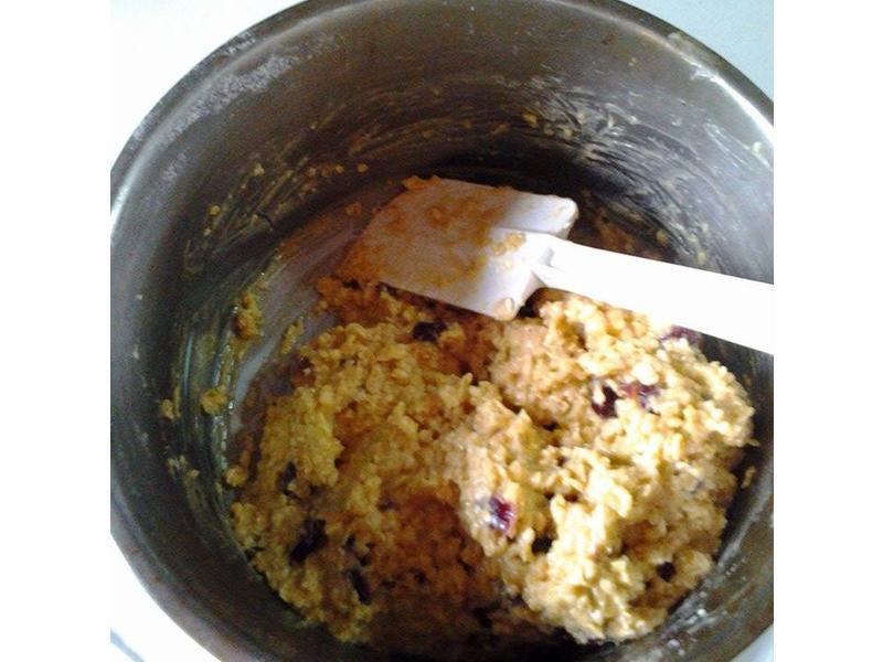 ��֦������Խݮ���ɵ�����