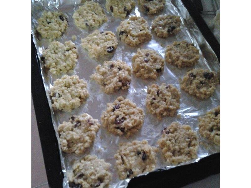 ��֦������Խݮ���ɵ�����