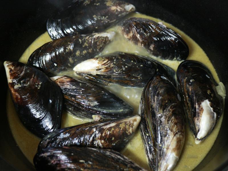 �̿������˵�����