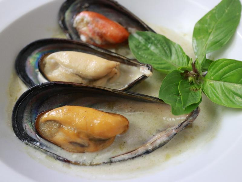 �̿������˵�����