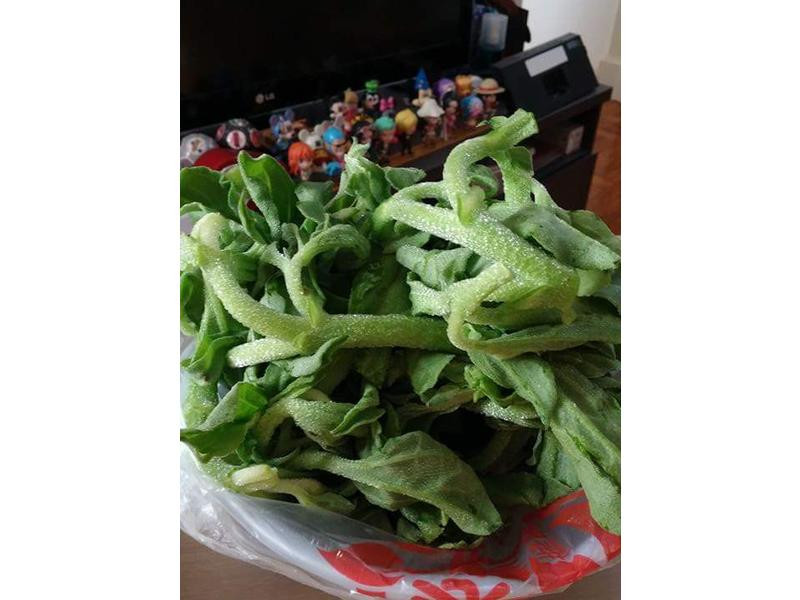 ���˻Ƴ����������ɳ�ɵ�����