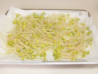 ��ʽ��ѿɳ�ɵ�����