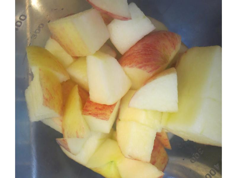 ��ʽ֥ʿ�Źǵ�����