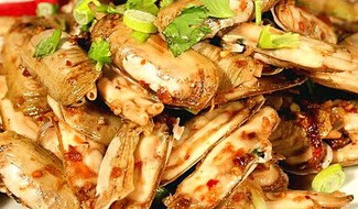 X.O�������ӵ�����