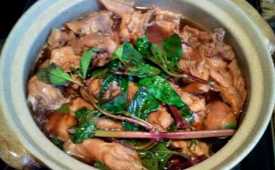 ����ζ��-������������