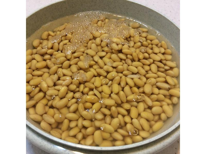 �ֹ�ľ�޶���������