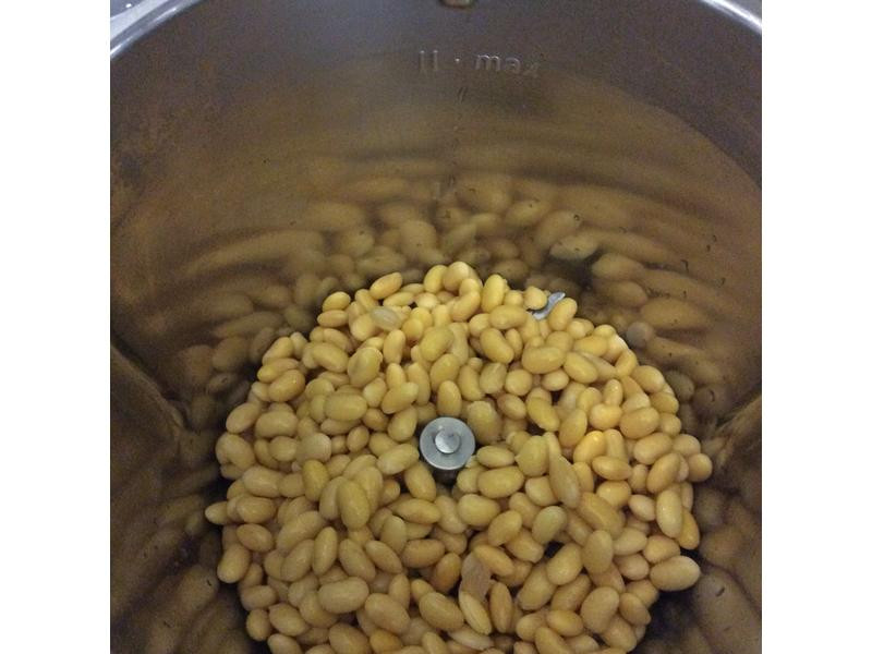 �ֹ�ľ�޶���������