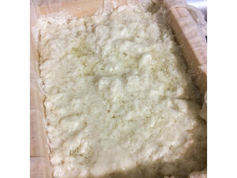 �ֹ�ľ�޶���������