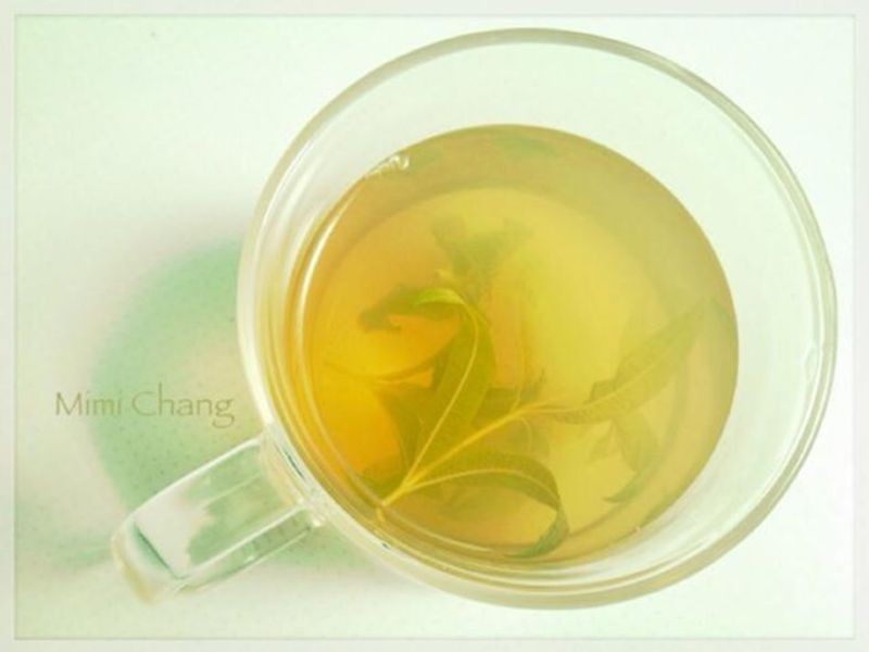 �������޲���Ҷ���̲������