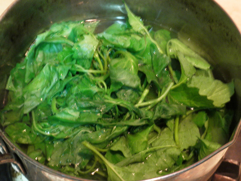 �������в��ࡿ������