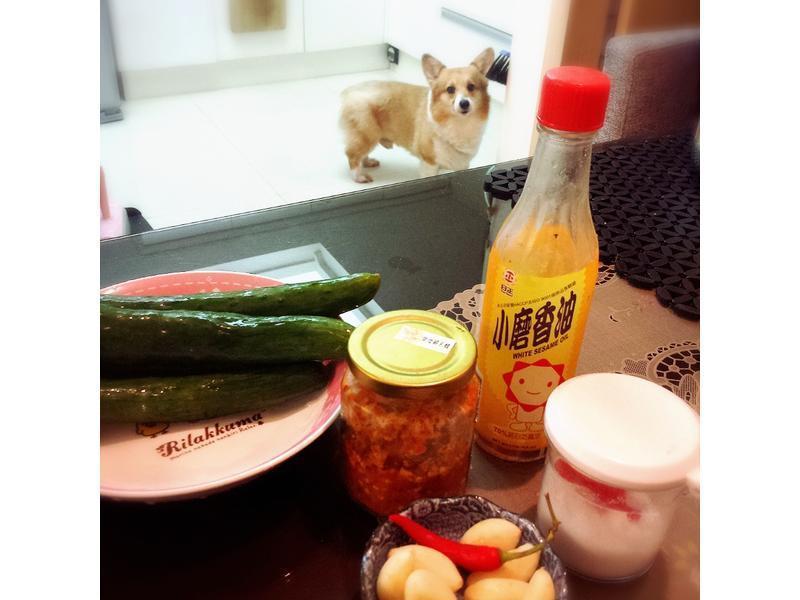 ����С�ƹϣ��򵥺óԷ�������