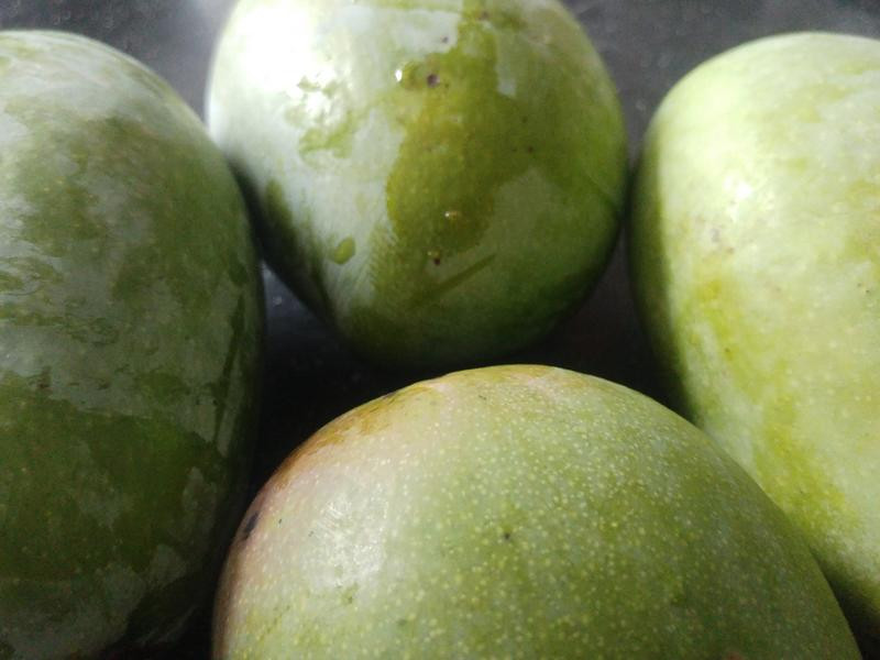 ������â��������