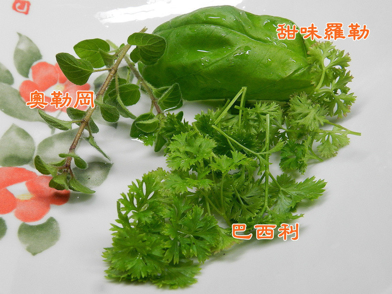 �����Ϻɳ��������