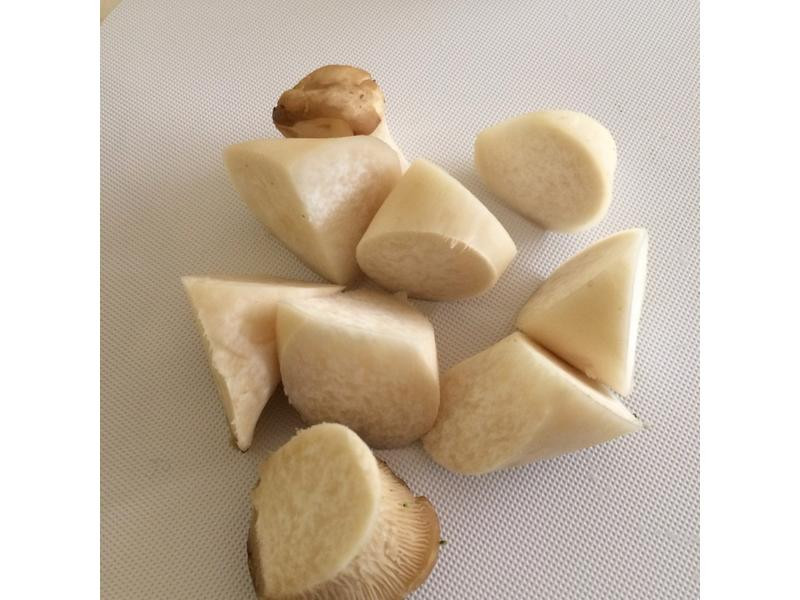 �Ե����ϳ�Ұ��������