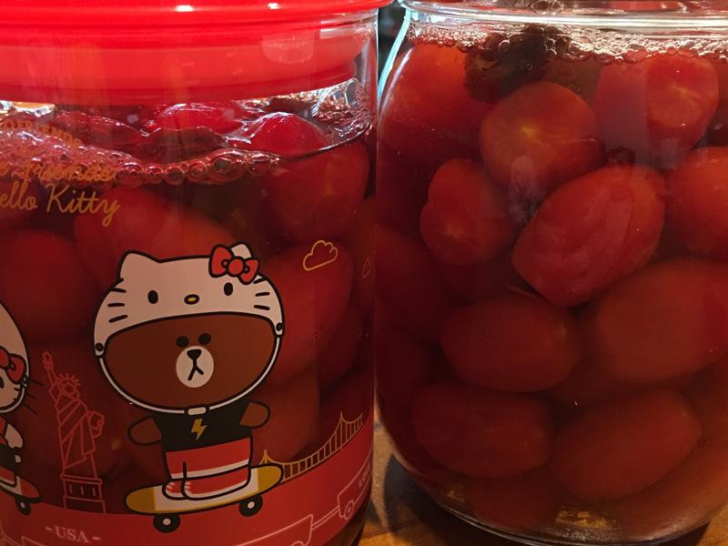 ����ެ�ѵ�����