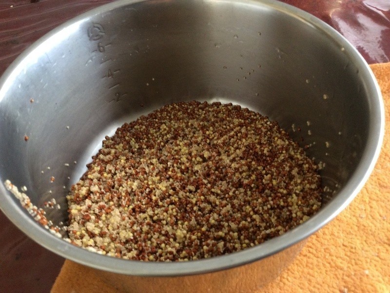 ����ެ���ѵ�����