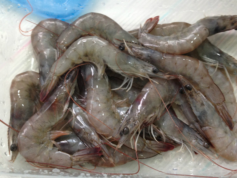 ˮ��Q����Ϻ������