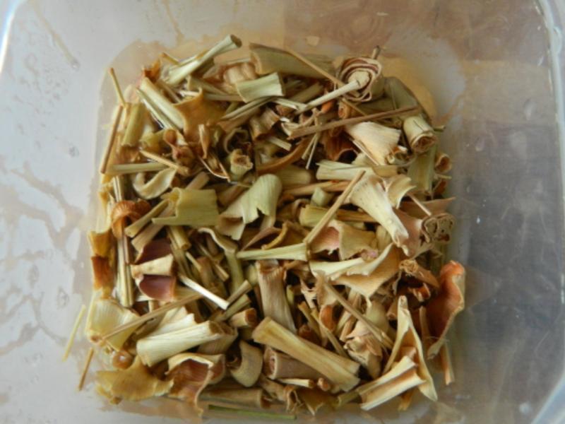 ɳ���⴮������