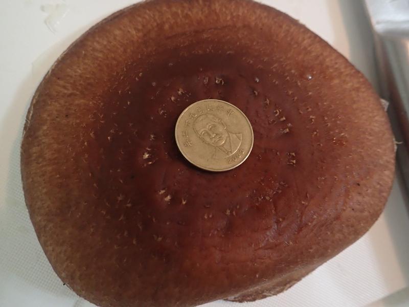 ������������[���������]������