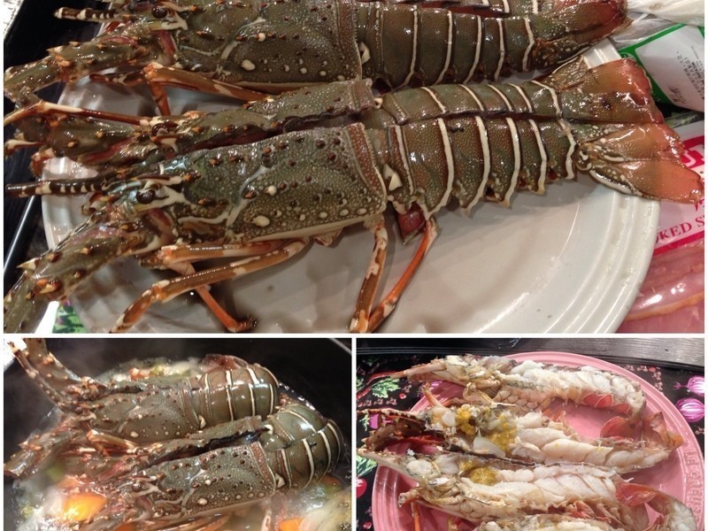 ����֥ʿ�h��Ϻ�����ص�����