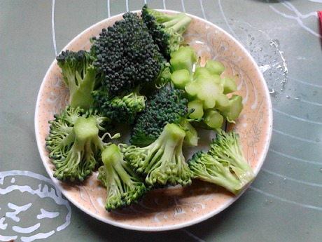 ����֥ʿ�ȹ���������